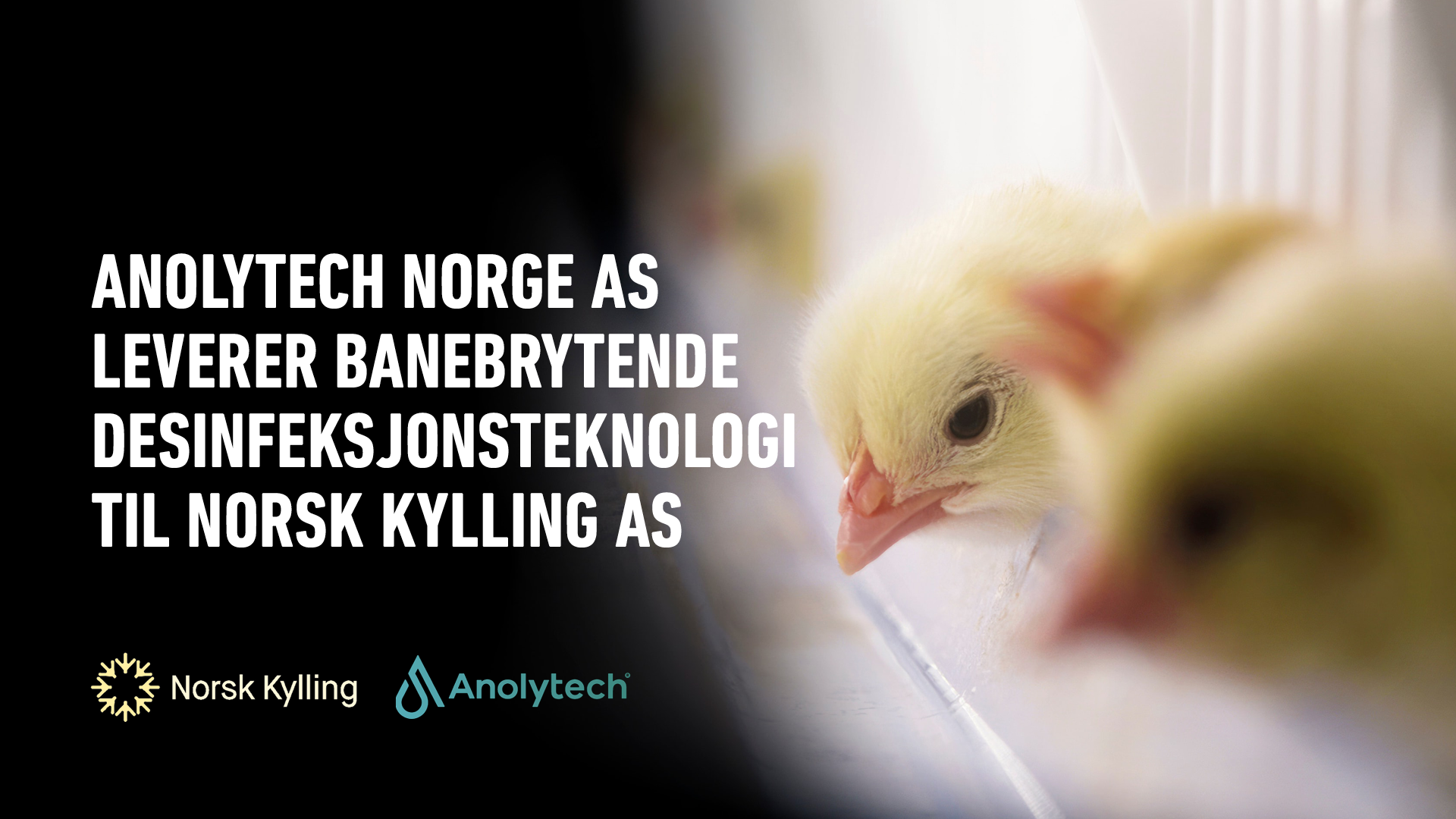 Anolytech Norge AS leverer banebrytende desinfeksjonsteknologi til Norsk Kylling AS